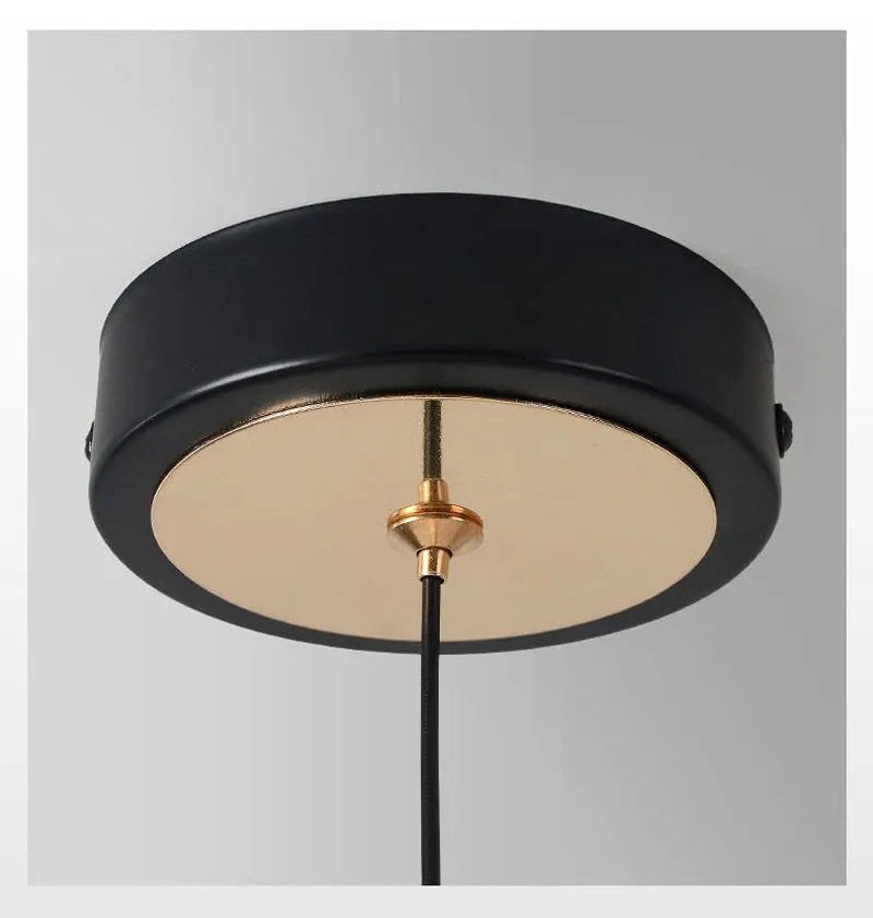 Suspension Oiseau Pie LED Cercle Rotative