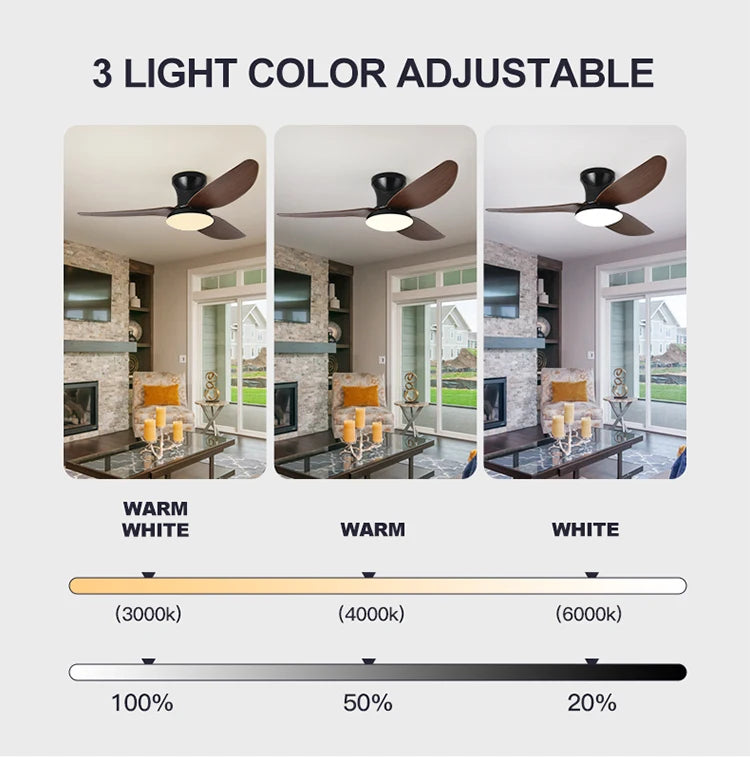Ventilateur de Plafond LED Dimmable avec Télécommande | Lumfyr