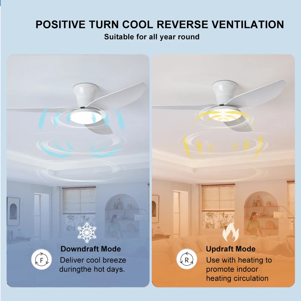 Ventilateur de Plafond LED Dimmable avec Télécommande | Lumfyr