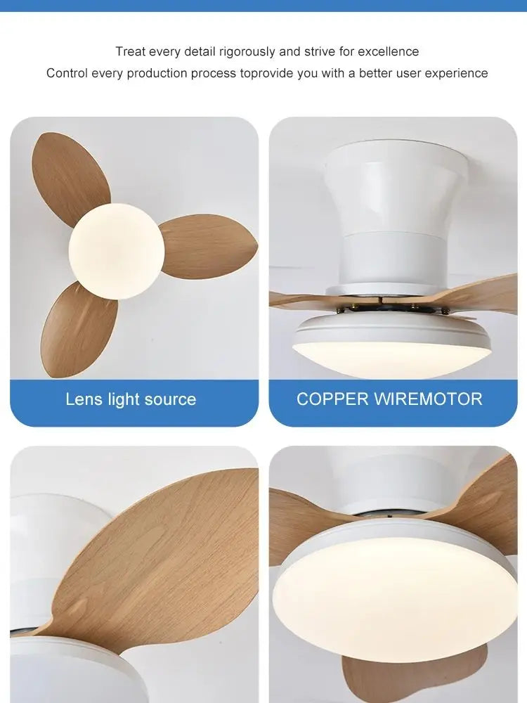 Ventilateur de Plafond LED Dimmable avec Télécommande | Lumfyr